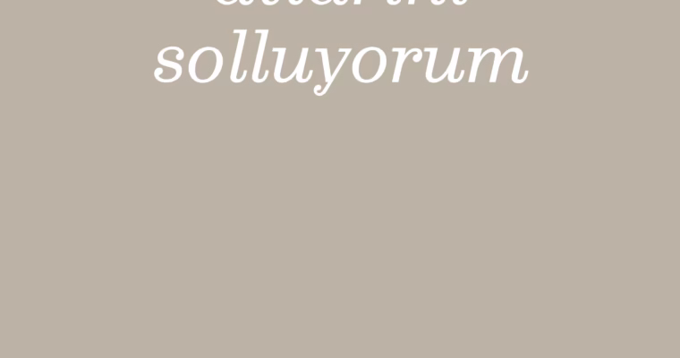 Atlarını Soluyorum