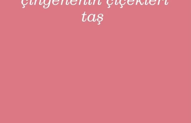 Çingenenin Çiçekleri Taş